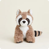 Bandit the Racoon